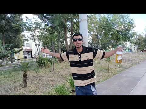 INMORTAL GANGSTER - SOMOS BRAVOS - (Vídeo Oficial) - 2025