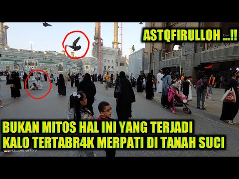 BUKAN MITOS !! TIBA TIBA TERTABRAK BURUNG MERPATI DI TANAH SUCI SAMPE DEK DEKAN