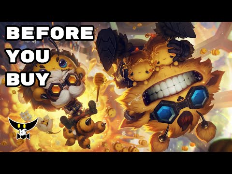 Before You Buy BZZZiggs