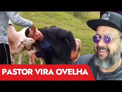 PASTOR VIRA OVELHA / BELA EXPERIÊNCIA