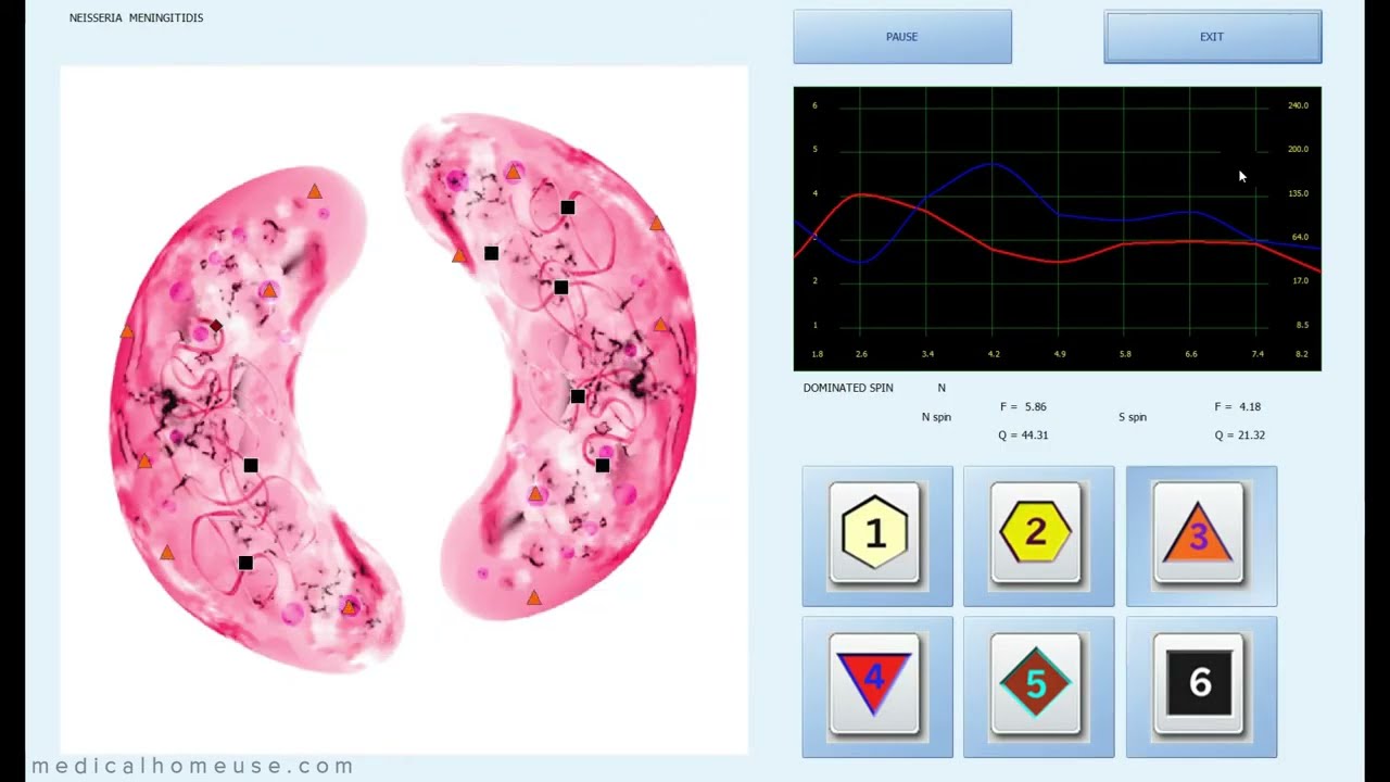 Biophilia Intruder – Scanare virusuri
