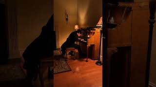 Download lagu Liszt’s Liebestraum No. 3 - Joshua Kyan Aalampour 3/8/2025 mp3