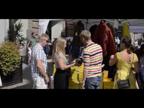 Vocalmente 2014 Flash Mob