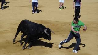 preview picture of video 'Capea Laguna de Duero - San Pedro Regalado 2013'