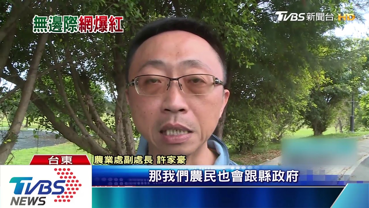 無敵海景為伴 太麻里蓄水池成「網紅」