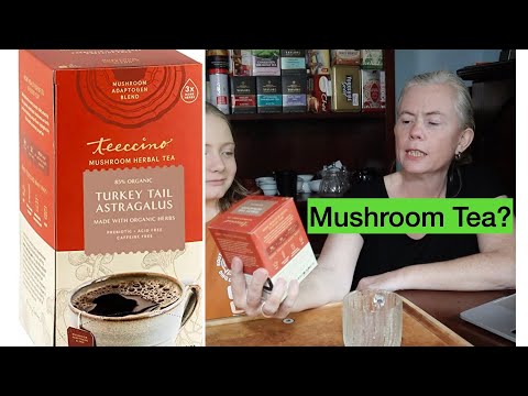 We Try Mushroom Tea:  Teeccino Turkey Tail with Astragalus