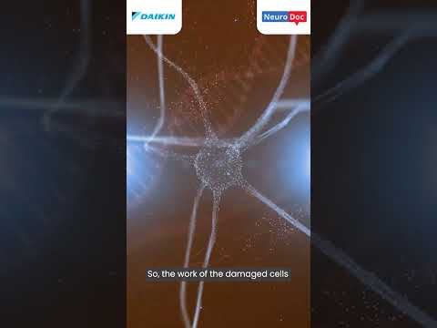 Protecting Memory as You Age