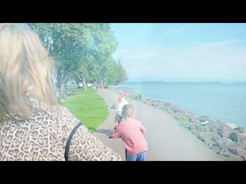 6 Acacia Place, Matua, Tauranga, 3房, 2浴, 独立屋