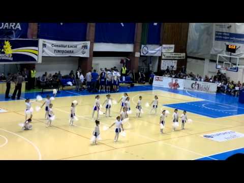 Elba Timisoara-Asesoft