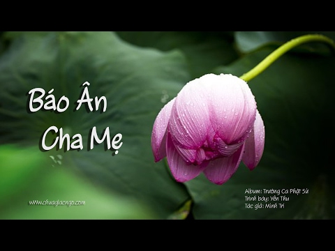 Báo ân Cha Mẹ