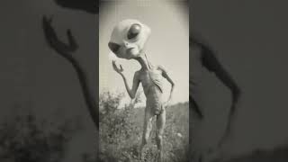 Lunar Serenade by SKORZ