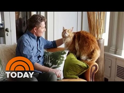Bobby Flay mourns the loss of his beloved cat Nacho