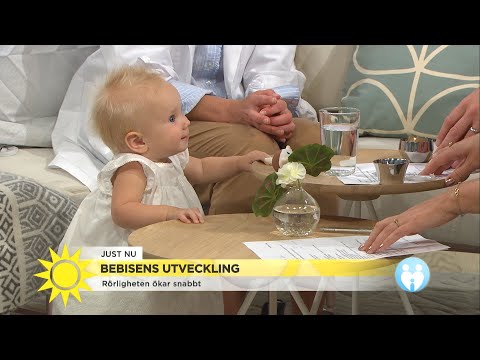 Barnläkaren ”Vid den här åldern brukar bebisen börja kommunicera” - Nyhetsmorgon (TV4)
