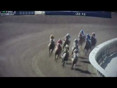 EVERET NEVIN S, (G STAKES) $100,000 2017 - KIMBERLEA K !!!