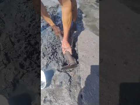 Itaparica Bahia Brasil #pescaria em busca de lambreta