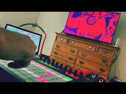 looppa - mlr style sampling on Push 2