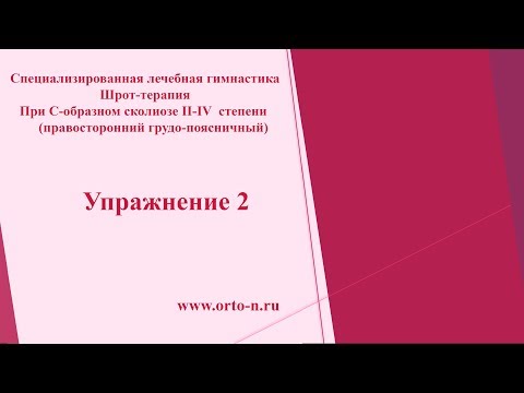 F-11 реклинатор ортопедический Полужесткий корсет поясничный купить в