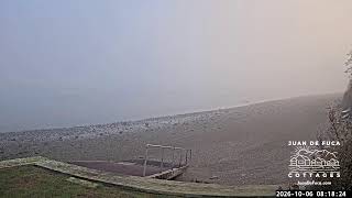 🌊 LIVE EAST Dungeness Bay Webcam from Juan de Fuca Cottages | Sequim WA Coastal Views 🦅🐟 live webcam