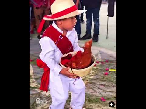 Ipico único san Ildefonso ixtahuacan huehuetenango Guatemala.