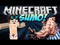 Minecraft Mini-Game | SUMO! w/FaceCam! 