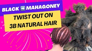 From black to Mahogany hair color on TWA hair  | Twist out on low porosity 4b hair|