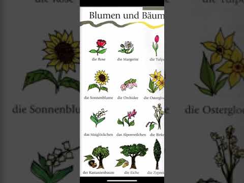 Lulet dhe pemët - Mëso gjermanisht falas