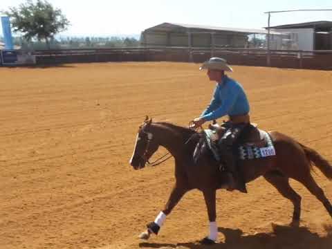 Lior Dubovski with AK Box of Diamonds pre Futurity ief championship 2018 Sharona