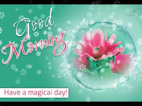 Good morning wishes with pink flowers