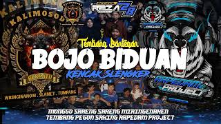 Download lagu Dj bantengan Style Kencak (Bojo Biduan) by Arpedam project mp3