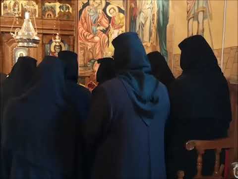 20181202 NICOLAE BALASOIU – VINDECAREA ORBULUI DIN IERIHON