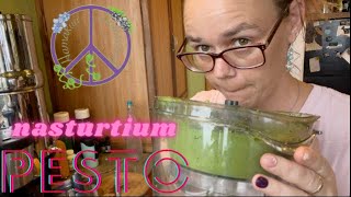 Nasturtium Pesto | Front Yard Food | Hamakua Homestead