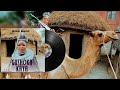 Elizabeth Maliganya Gushoka Kaya Official Music Audio