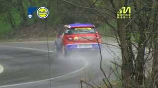 preview picture of video 'Timis Rally 2013: PS 10 - Surduc 1'