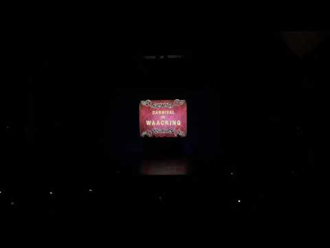 CAU Festival 2019 Talent Show - Carnival in Waacking