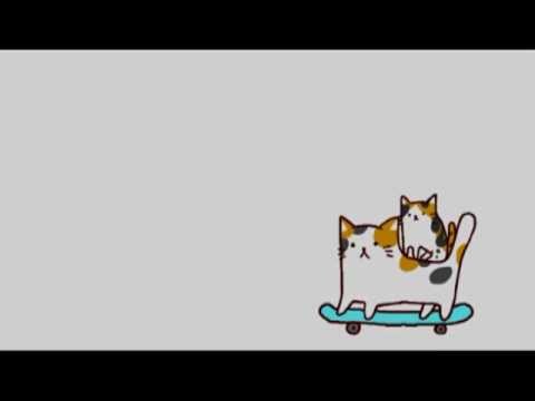 Nyankoro Live(tortoiseshell) Video