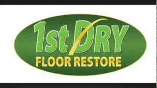 preview picture of video 'Dry Organic Carpet Cleaning in Vincennes, IN | Call the Experts (812) 396-7565'