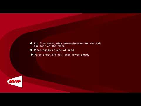 CE2M8V57 - Ballon Suisse - Dorsaux