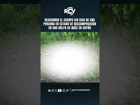 🚨 Hallan cuerpo de hombre reportado como desaparecido en una milpa en Copán
