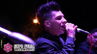 CRECER GERMAN PERRO DE CADENA EXPO TACAMBARO