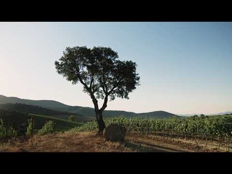 Le Mortelle, castiglione della pescaia