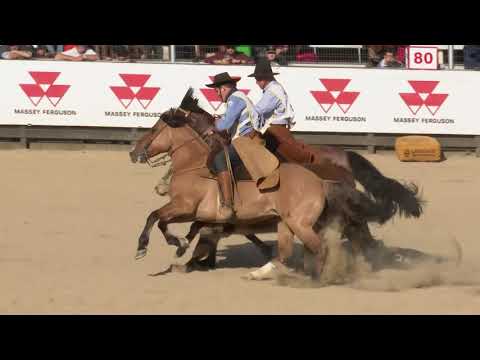 Final Freio de Ouro 2019