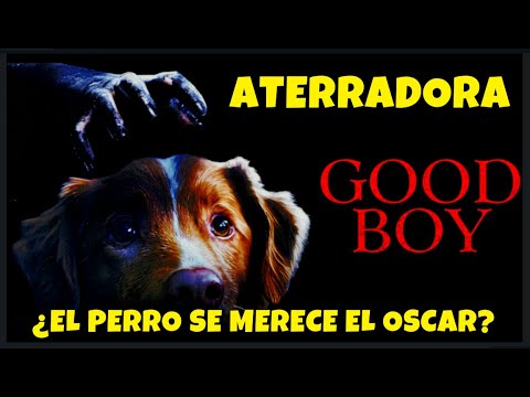“Good Boy (2025): cuando el mejor amigo te protege de lo invisible”