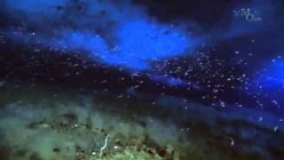 Vangelis - Antarctica Echoes