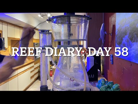 RD58: vacuum out the skimmer zone’s detritus