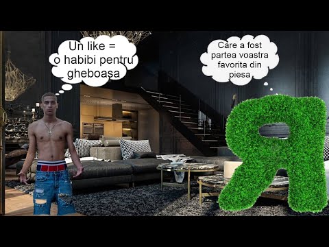 Gheboasa x @YNY Sebi - Habibi ( Official Video ) Reactie