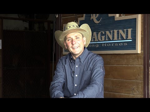 Stefano Calcagnini - Got Involved in Reining