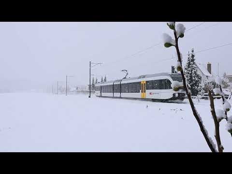 SBB CFF FFS Thurbo RABe 526 xxx com S36 - Kaiserstuhl AG