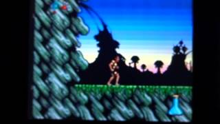 Shadow Of The Beast II: Sega Mega CD