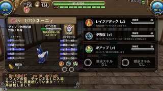 【toram】ペットレベリングの旅【トーラム】
