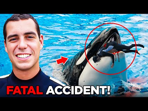 The TERRIFYING Last Minutes of Orca Trainer Alexis Martinez